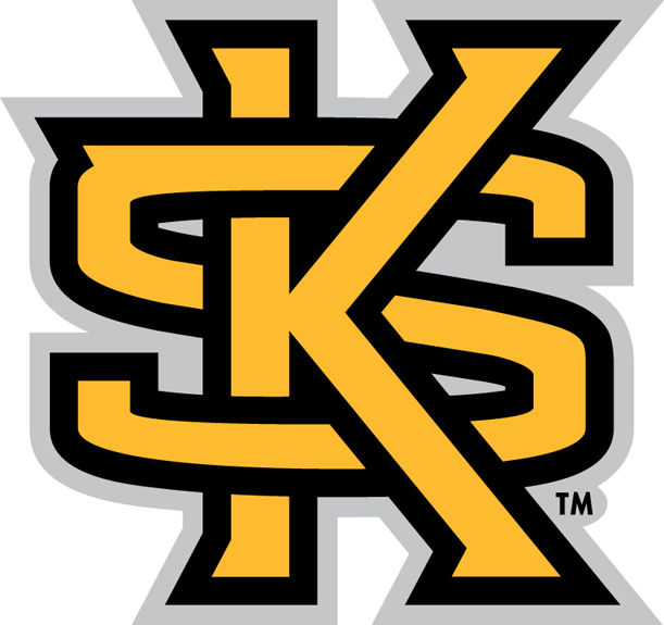 Kennesaw State Owls 2012-Pres Secondary Logo t shirts iron on transfers